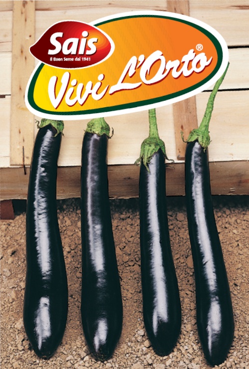 baklazan romagna 3.jpg